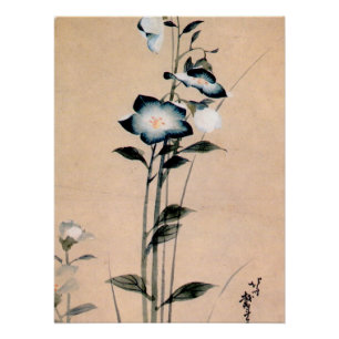 Chinese bellflower, Hokusai Ukiyo-e Poster