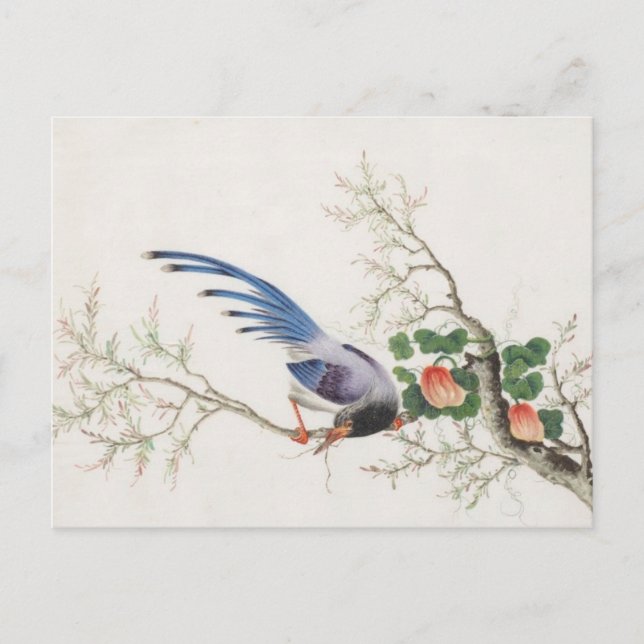 Chinese Bird Painting Postcard (Front)