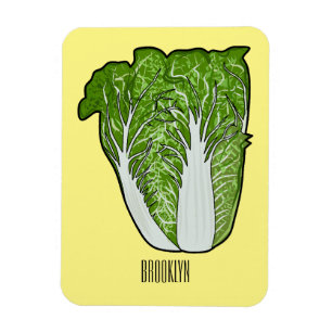 Chinese cabbage cartoon illustration  magnet