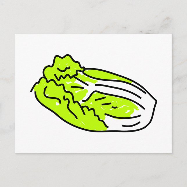 Chinese cabbage postcard (Front)