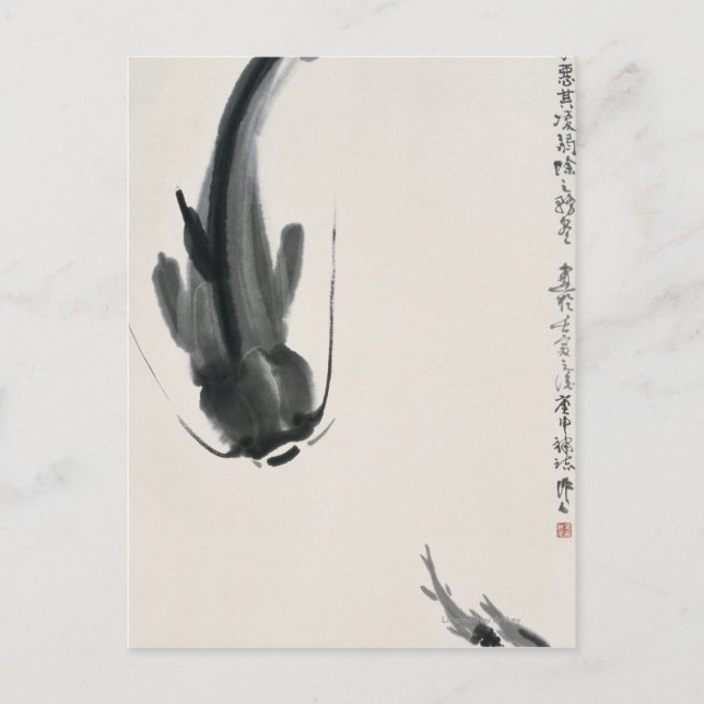 Chinese Catfish Postcard (Front)