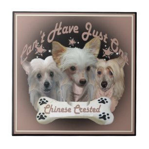Chinese Crested Can't Have Just One Tiles