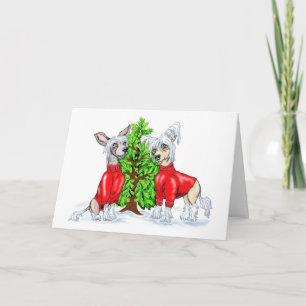 Chinese Crested Christmas Tree Holiday Card