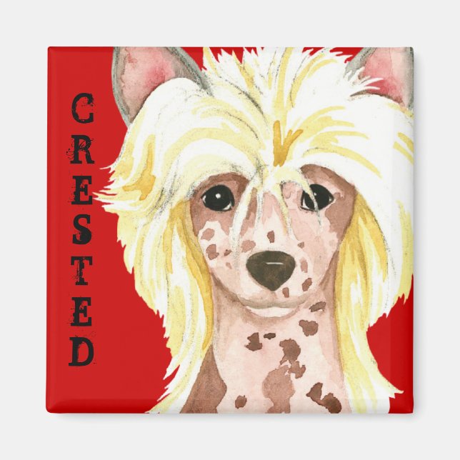 Chinese Crested Colour Block Magnet (Front)
