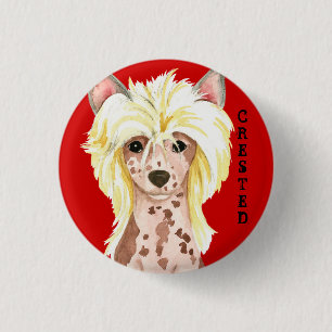 Chinese Crested Colour Block Pinback Button