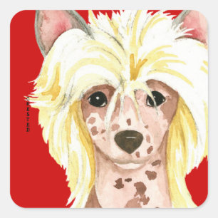 Chinese Crested Colour Block Square Sticker