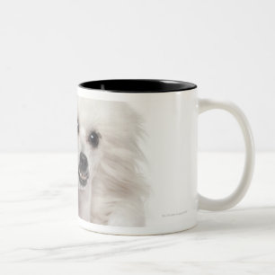 Chinese Crested Dog (1 year old) wearing a Two-Tone Coffee Mug