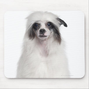 Chinese Crested Dog (7 months old) Mouse Pad