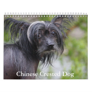 Chinese Crested Dog Calendar