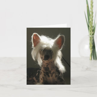 Chinese Crested dog Card