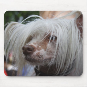 Chinese Crested Dog Mouse Pad