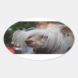 Chinese Crested Dog Oval Sticker