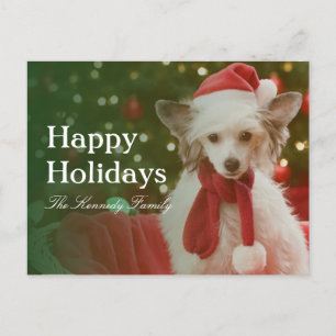 Chinese Crested Dog sitting in basket decorated Holiday Postcard