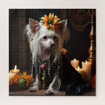 Chinese Crested Dressed like Day of the Dead