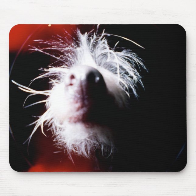 Chinese Crested Fisheye Mouse Pad (Front)