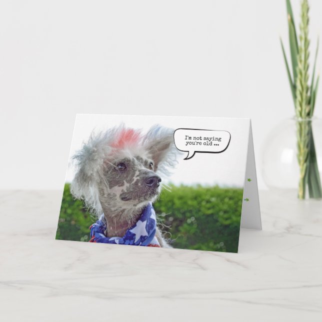 Chinese Crested Hairless dog birthday Card (Front)