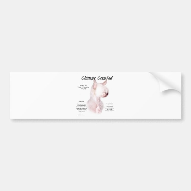 Chinese Crested (hairless) History Design Bumper Sticker (Front)