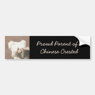 Chinese Crested Hairless Painting Original Dog Art Bumper Sticker