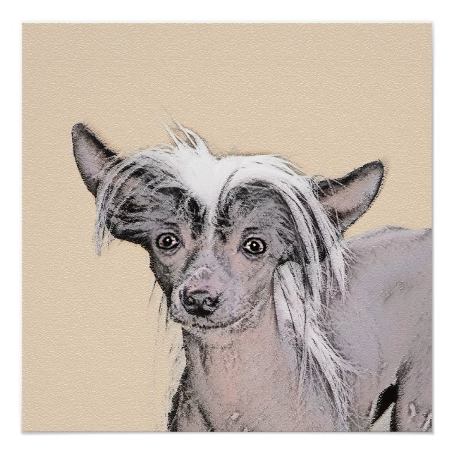 Chinese Crested Hairless Painting Original Dog Art Poster (Front)