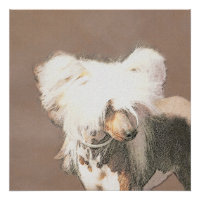 Chinese Crested Hairless Painting Original Dog Art