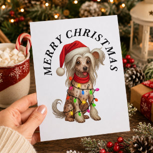 Chinese Crested Merry Christmas Santa Hat Dog Holiday Postcard