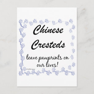Chinese Crested Pawprints Postcard