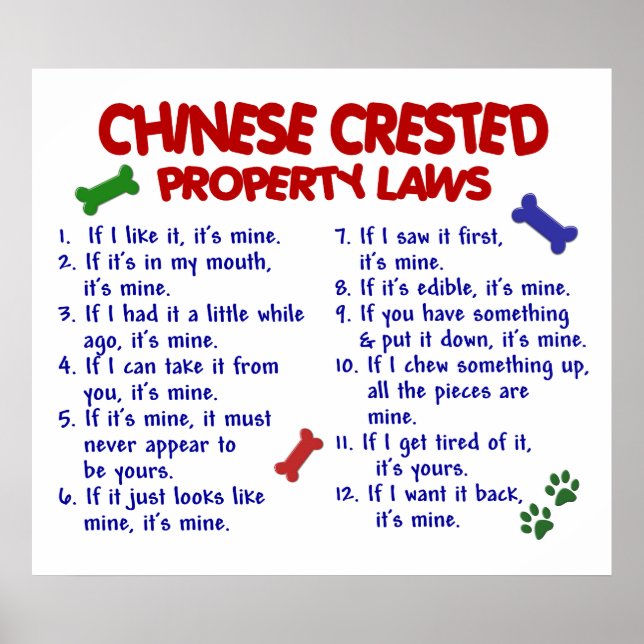 CHINESE CRESTED PL2 POSTER (Front)