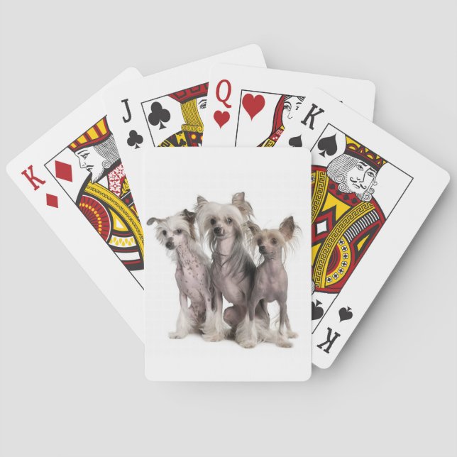 Chinese Crested Playing Cards (Back)
