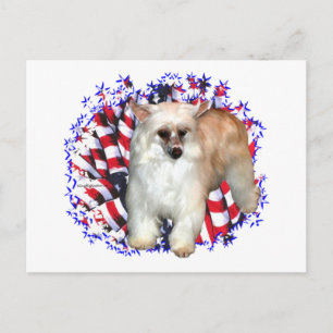 Chinese Crested (powder) Patriot Postcard