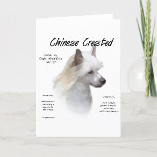Chinese Crested (powderpuff) History Design Holiday Card