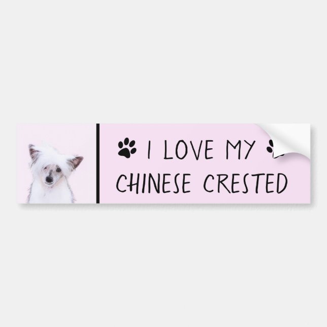 Chinese Crested Powderpuff Painting - Dog Art Bumper Sticker (Front)