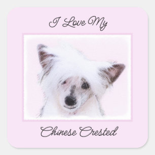 Chinese Crested Powderpuff Painting - Dog Art Square Sticker