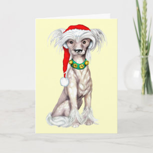 Chinese Crested Santa Holiday Card