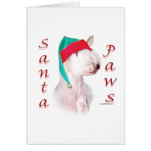 Chinese Crested Santa Paws