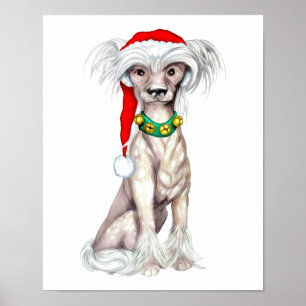 Chinese Crested Santa Poster