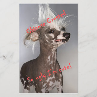 Chinese Crested So Ugly I'm Cute