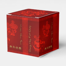 Chinese custom New Year Children dragon CC Favour 