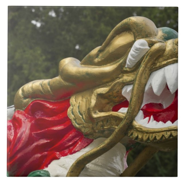 Chinese dragonboat figurehead, Stanley Park Tile (Front)