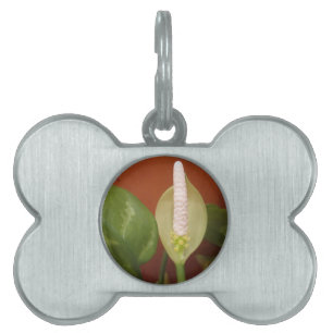 Chinese Evergreen Flower Pet Name Tag
