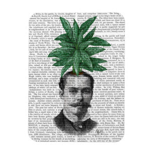 Chinese Evergreen Head Plant Head Magnet