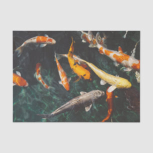 Chinese fish swim in the water tissue paper