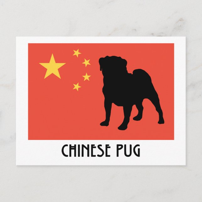 Chinese Flag with Pug Postcard (Front)