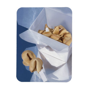 Chinese Fortune Cookies Photograph Premium Magnet