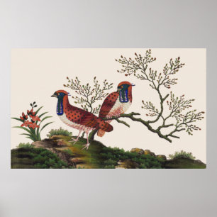Chinese Golden Pheasants Elegant Romantic Pair Pos Poster