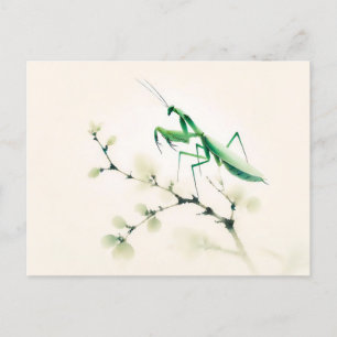 Chinese Ink Mantis on Ginkgo Postcard