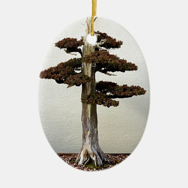 Chinese Juniper Bonsai Tree Ceramic Tree Decoration (Front)