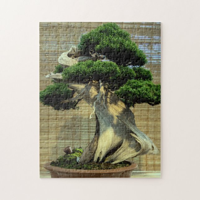 Chinese Juniper Bonsai Tree Photo Jigsaw Puzzle (Vertical)
