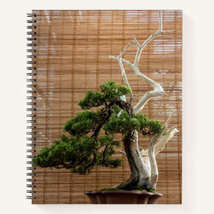 Chinese Juniper Bonsai Tree Photo Notebook