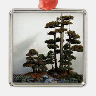 Chinese Juniper Bonsai Trees Metal Ornament
