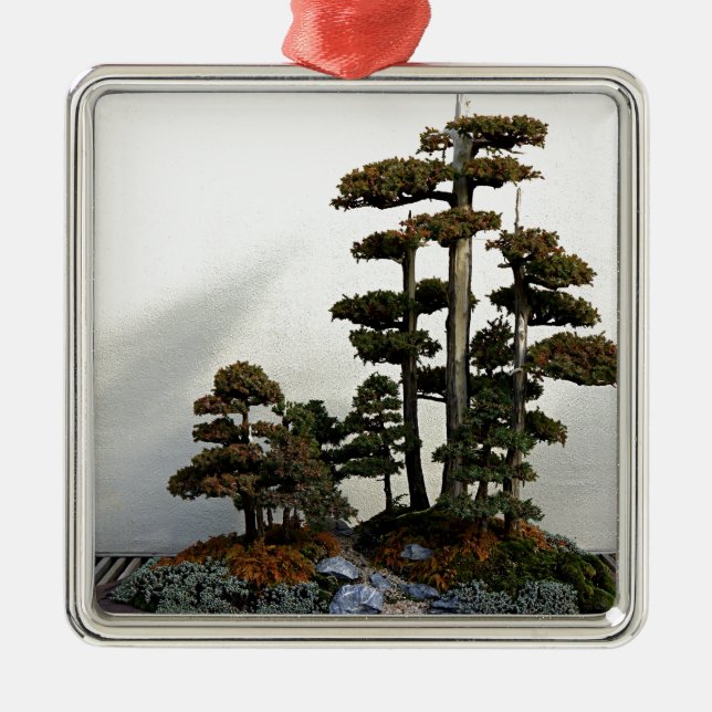 Chinese Juniper Bonsai Trees Metal Ornament (Front)